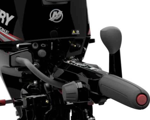 2019 Mercury 15 HP EFI 15MH Outboard Motor